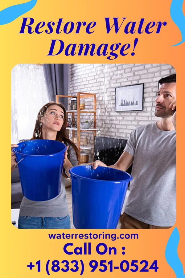 water restoration Vigilant Disaster Recovery & Associates Forestville